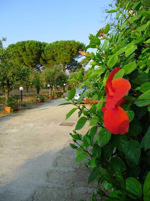 "Green" B&B Il Bracco Partinico Zewnętrze zdjęcie